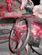 Horrible Deer-Automobile Accident Photos Horrible Deer-Automobile Accident Photos