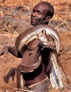 Snake Hunting in Africa Snake Hunting in Africa