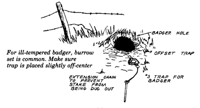 Badger Foot Trap Set