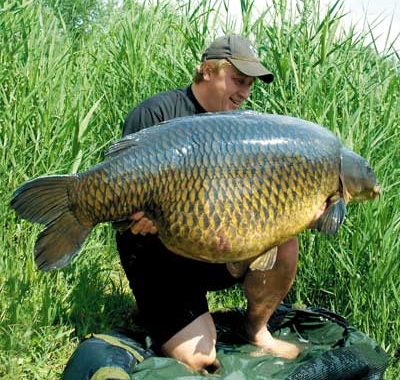 Proposed Regulation Would Put Limits on Carp at Lady Bird Lake