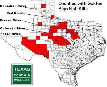 TPWD Monitors Golden Alga in Texas Lakes and Rivers