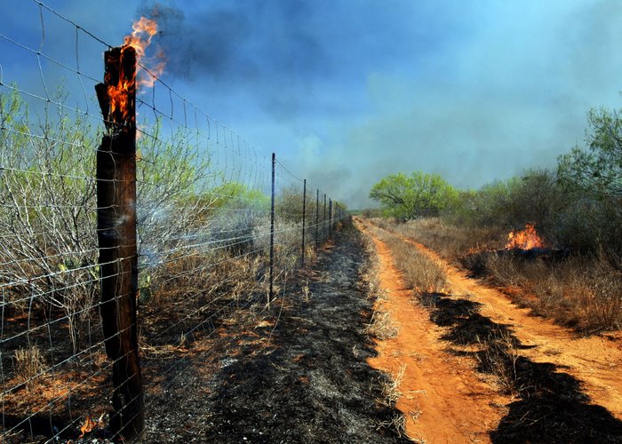 Prescribed Burning for Wildlife Management