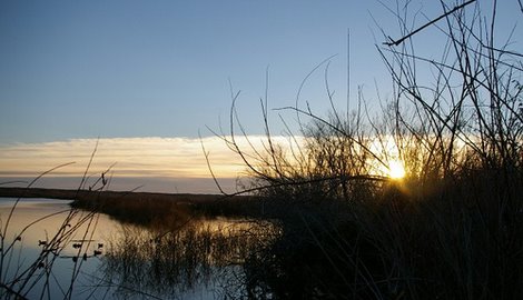 Public hunting on wildlife management areas