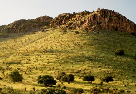 Wildlife Conservation Camp in Davis Mountains