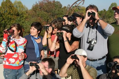 Great Texas Birding Classic photo