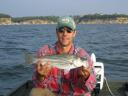 Lake Texoma Striper Fishing