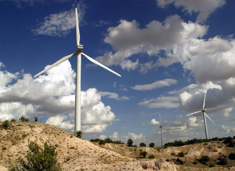 Wind Energy can have impacts on native wildlife