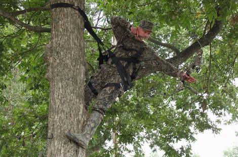 Bow hunter in a tree