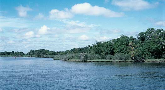 Neches National Wildlife Refuge versus Fastrill Reservoir