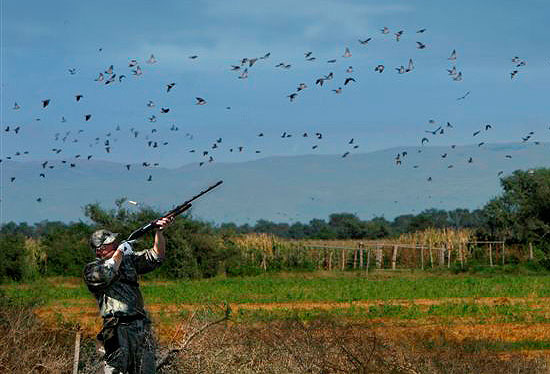 Economic Impact of Hunting in Texas