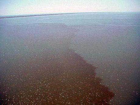 Red tide along the Texas Gulf Coast