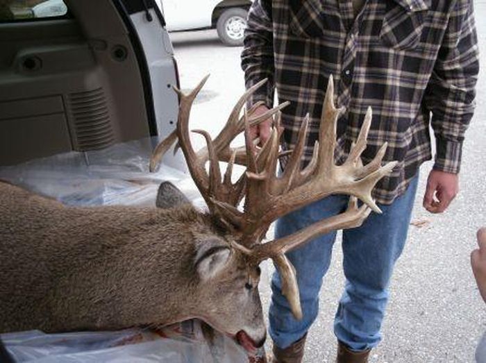 38 Point Nebraska Whitetail