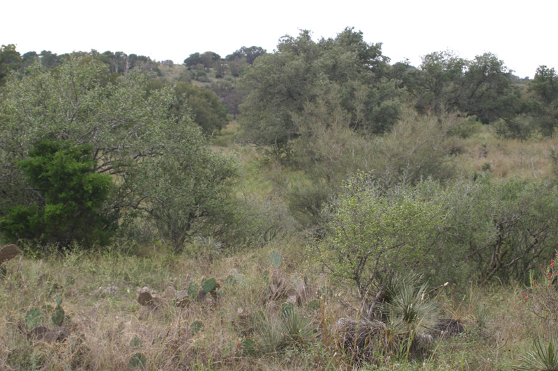 Range and habitat management is important