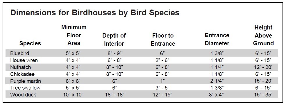 Bird House Entrance Hole Dimensions