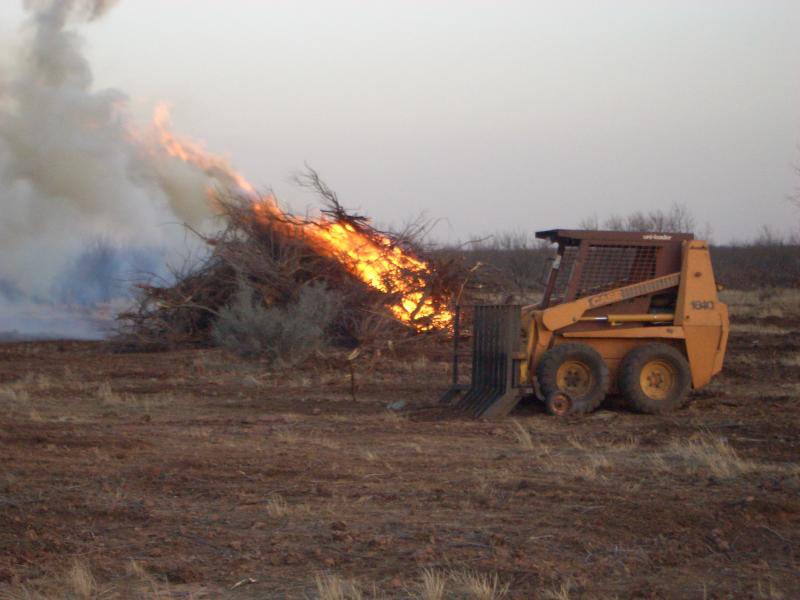 Selective Brush Control: Habitat Management in Texas