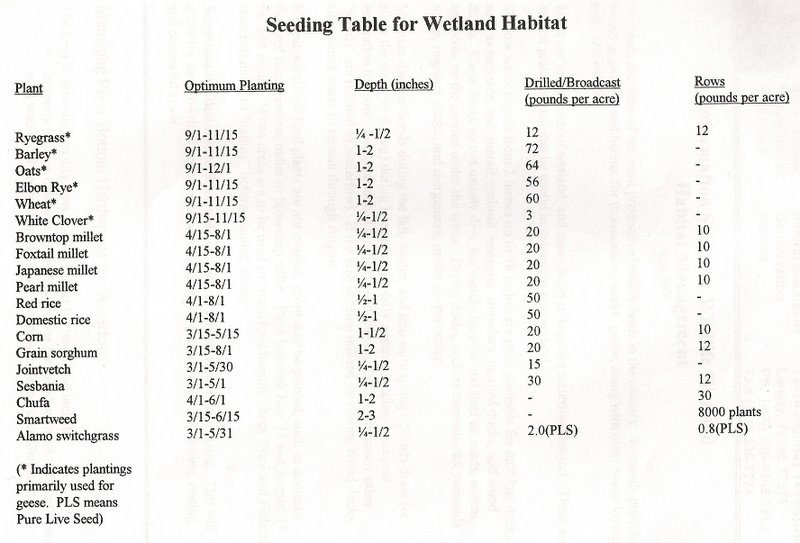 Seeding rate for waterfowl food plots