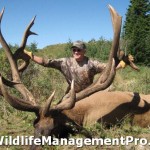 World Record Elk