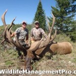 Trophy Elk Hunting