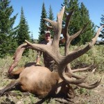 Elk Hunting in Idaho