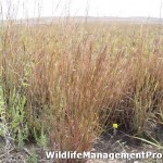 Prescribed Burning Associations - Prescribed Burning Alliance