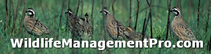 Wildlife Management and Habitat Management Webinar
