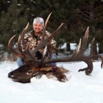 Big Elk Found Stuck in Mud in Minnesota