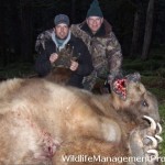 Grizzly Bear Shot in Alberta