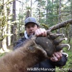 Hunters Kill Big Grizzly Bear in Canada