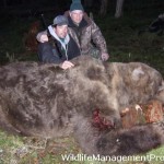 Giant Grizzly Bear Killed in Alberta, Canada